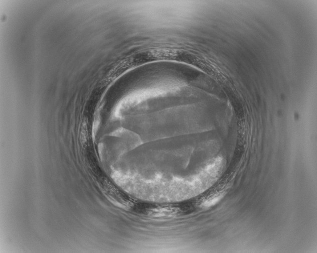 X0000059230323200511041248