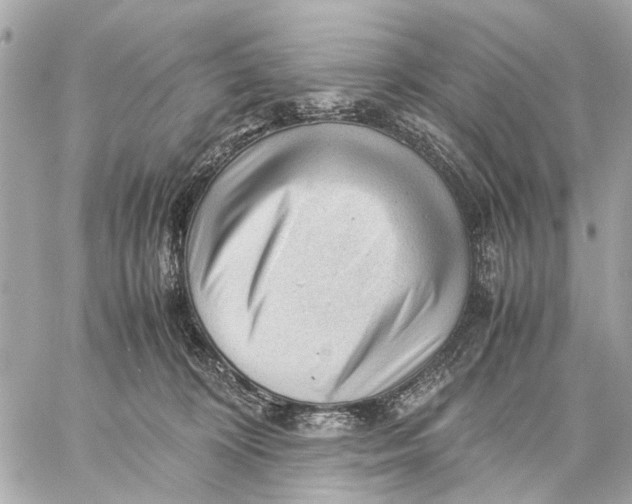 X0000059230324200511041248