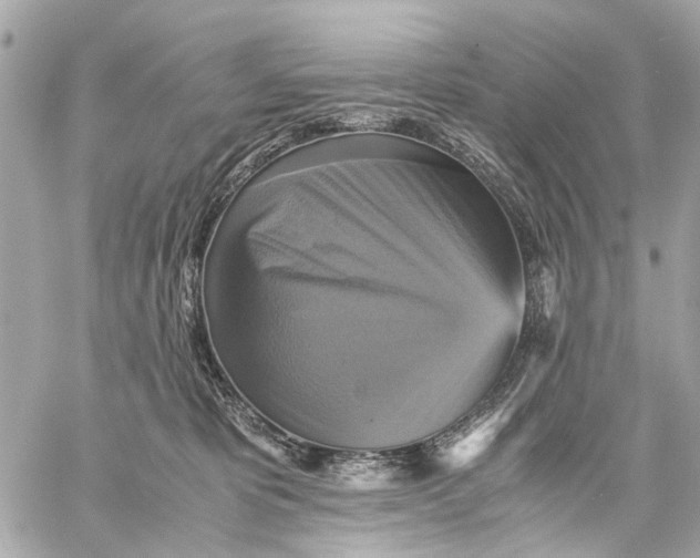 X0000059230325200511041248