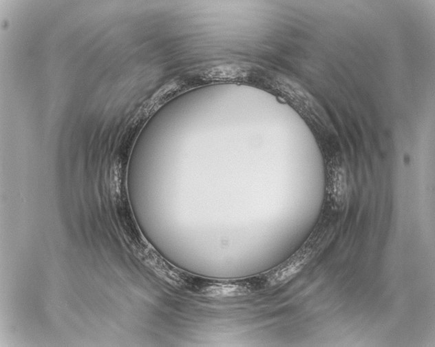 X0000059230326200511041248