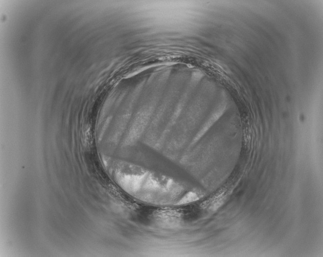 X0000059230327200511041248