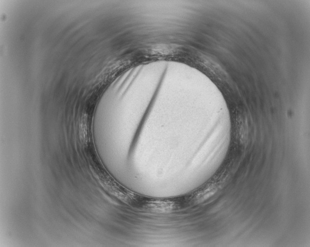 X0000059230328200511041248