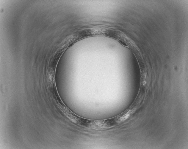 X0000059230329200511041248