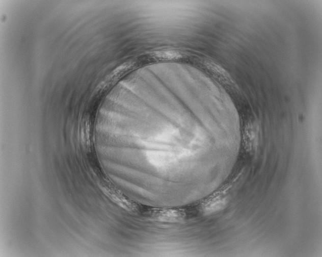 X0000059230330200511041248