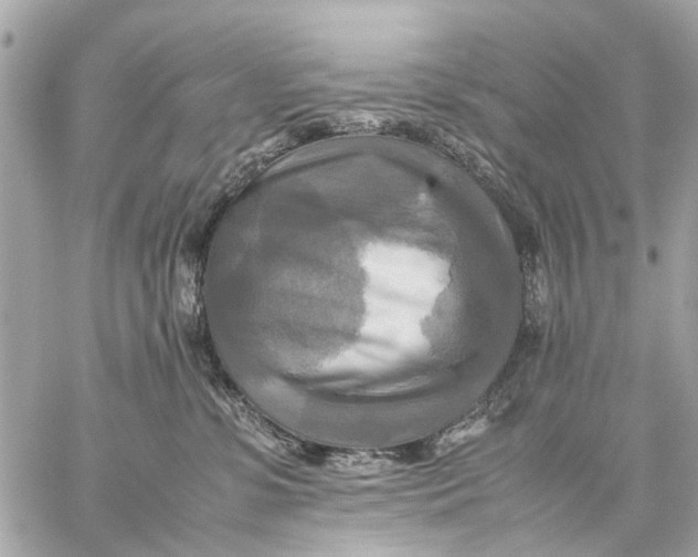 X0000059230331200511041248