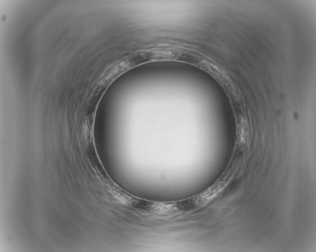 X0000059230333200511041248