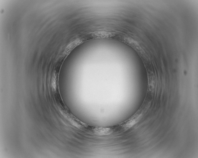 X0000059230334200511041248