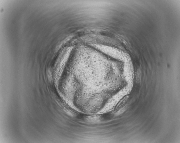 X0000059230335200511041248