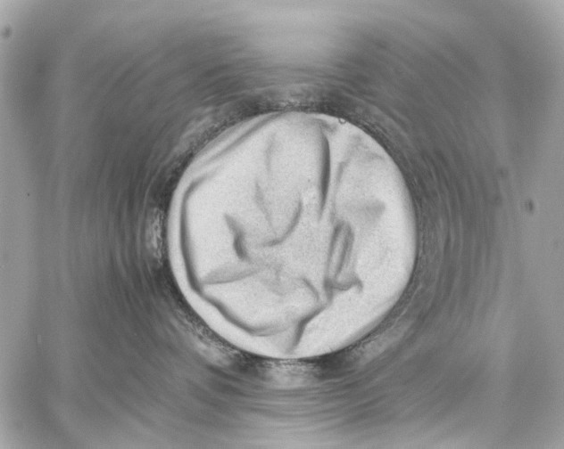 X0000059230336200511041248