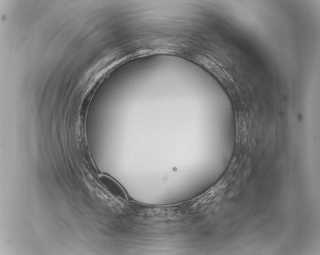 X0000059230338200511041247