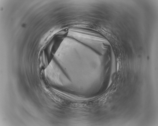 X0000059230339200511041247