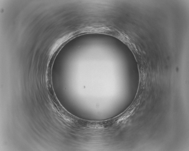 X0000059230340200511041247