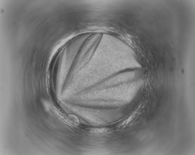 X0000059230342200511041247