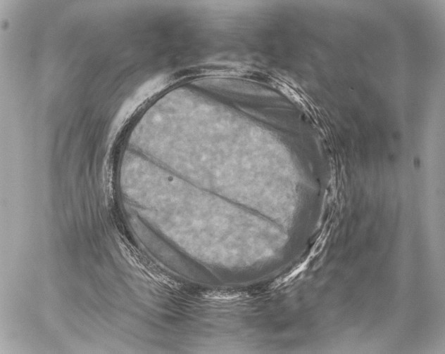 X0000059230343200511041247