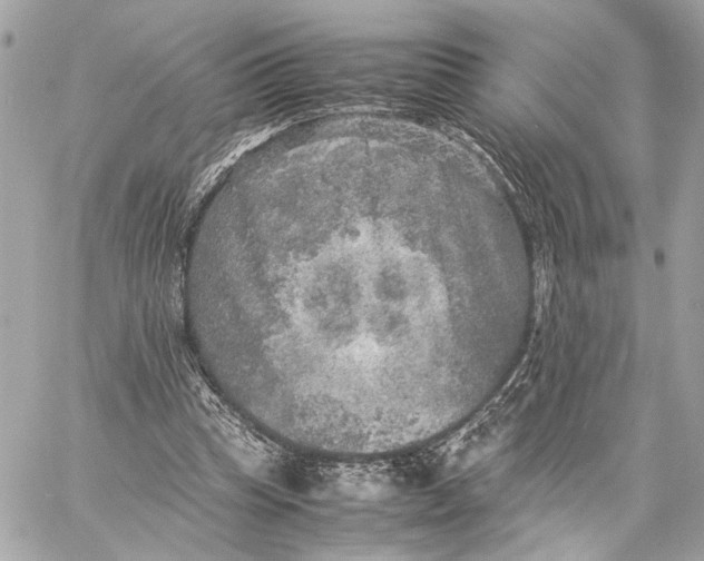 X0000059230345200511041247