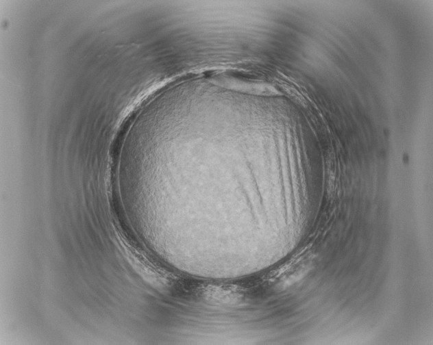 X0000059230346200511041247