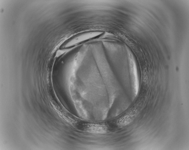 X0000059230347200511041247