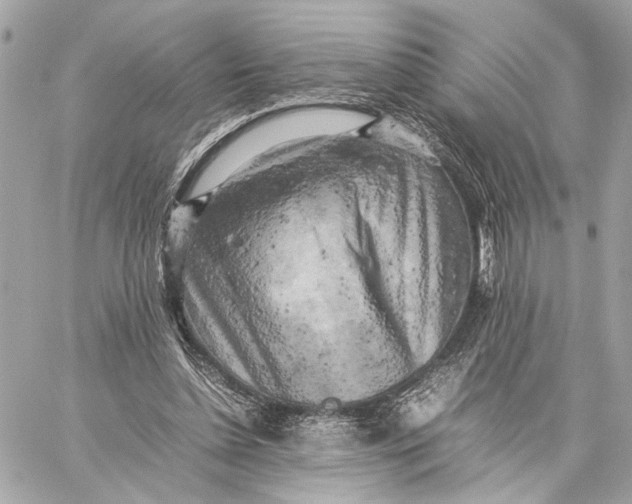 X0000059230348200511041247