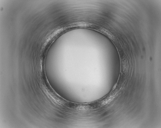 X0000059230350200511041247