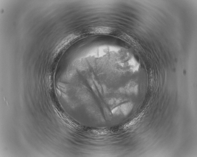 X0000059230351200511041247