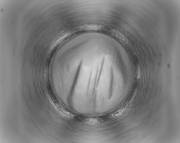 X0000059230352200511041247