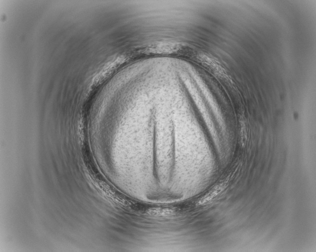 X0000059230354200511041247