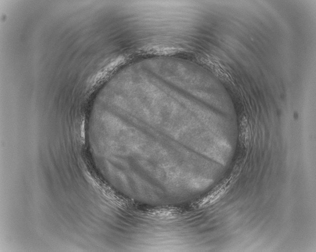 X0000059230358200511041248