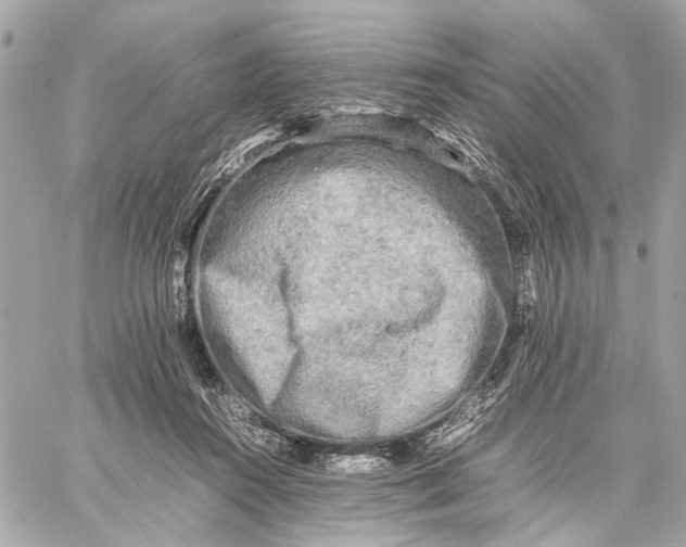 X0000059230360200511041248