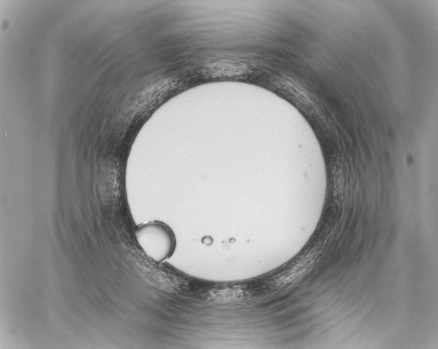 X0000059230362200511041248