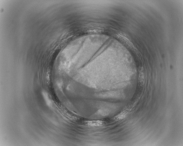 X0000059230363200511041248