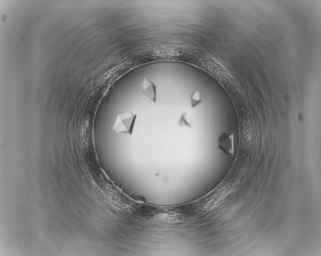 X0000059230364200511041248