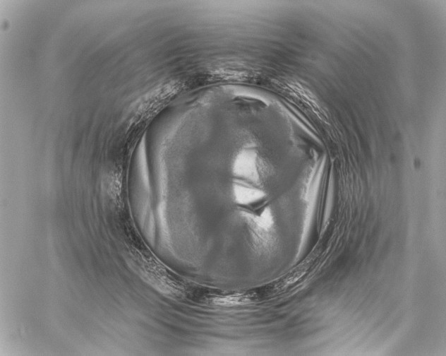 X0000059230365200511041248