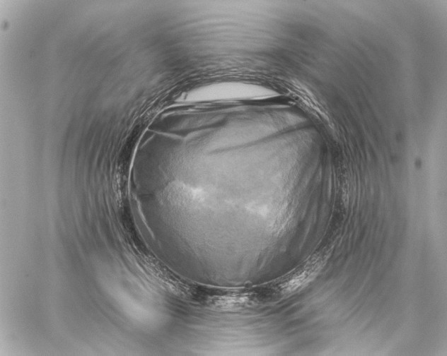 X0000059230366200511041248