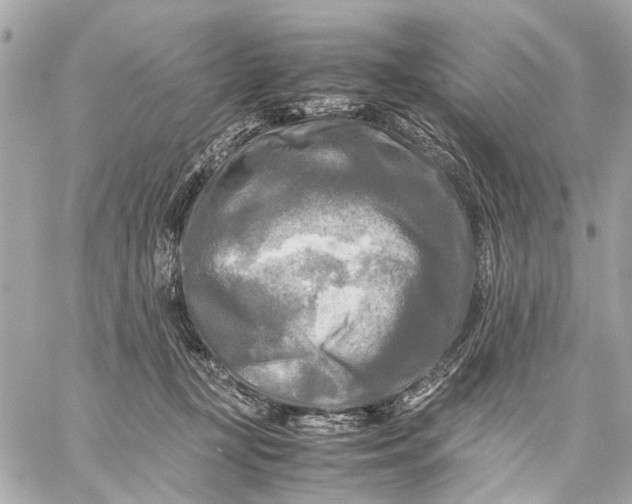 X0000059230367200511041248