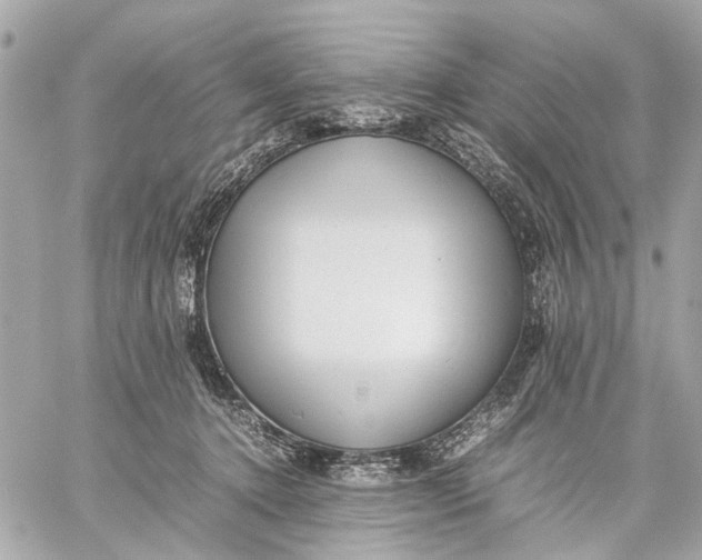 X0000059230368200511041248