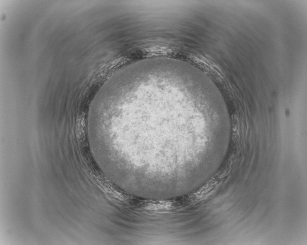 X0000059230369200511041248