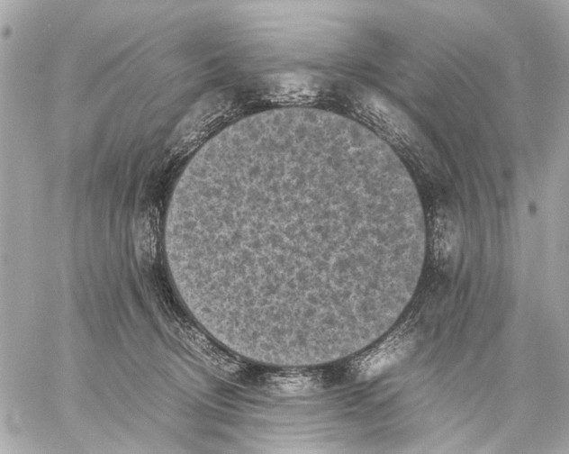 X0000059230370200511041248