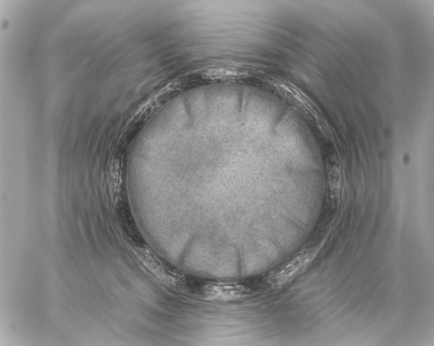 X0000059230372200511041248