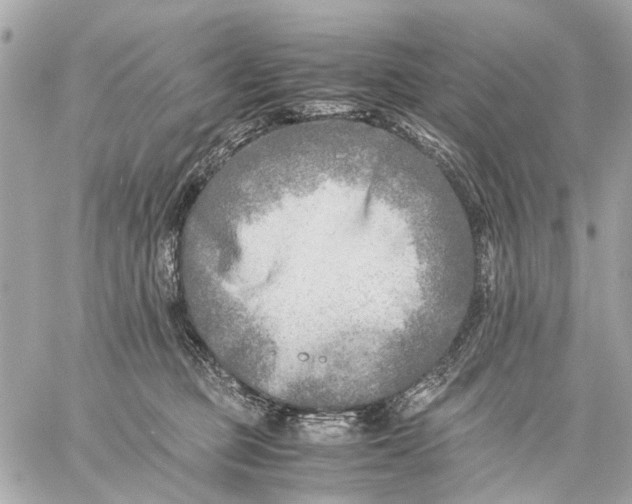 X0000059230373200511041248