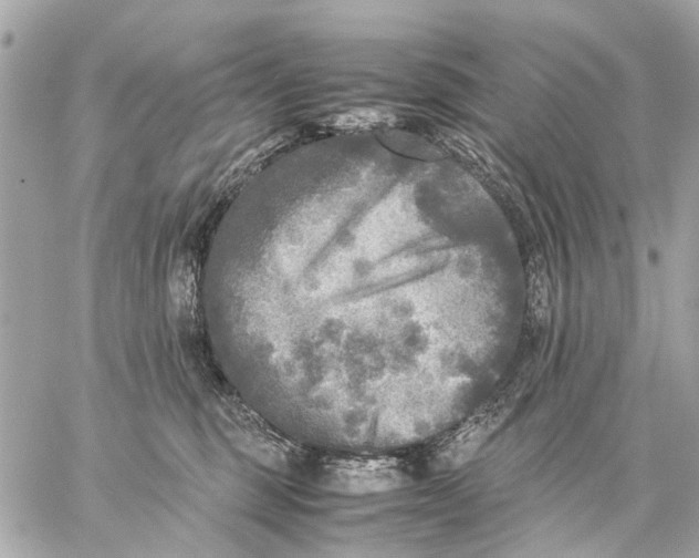 X0000059230375200511041248