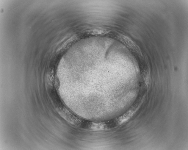 X0000059230376200511041248