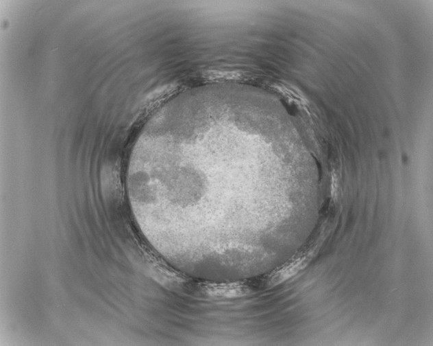 X0000059230377200511041248