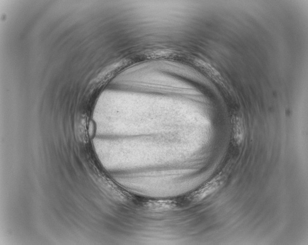 X0000059230378200511041248