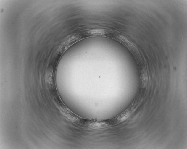 X0000059230379200511041248