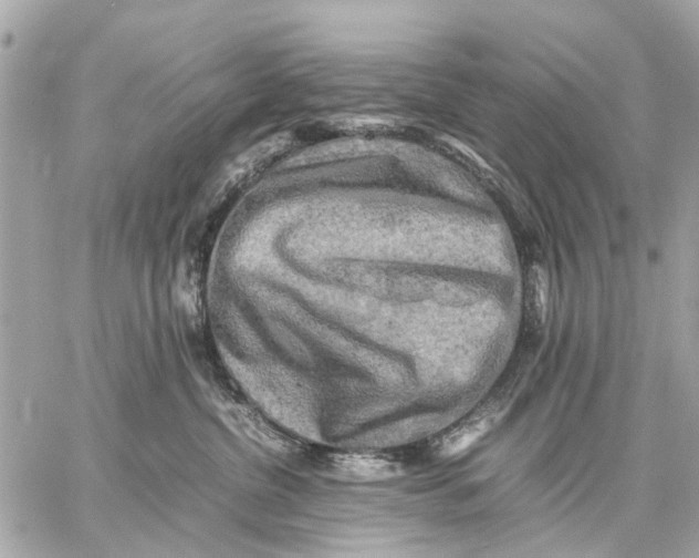 X0000059230380200511041248