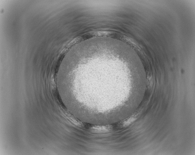 X0000059230381200511041248