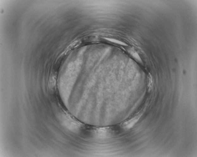 X0000059230382200511041248