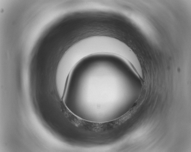 X0000059230383200511041248