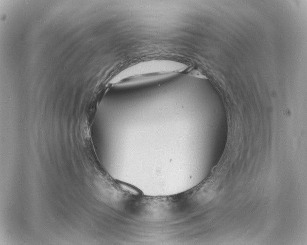 X0000059230384200511041248