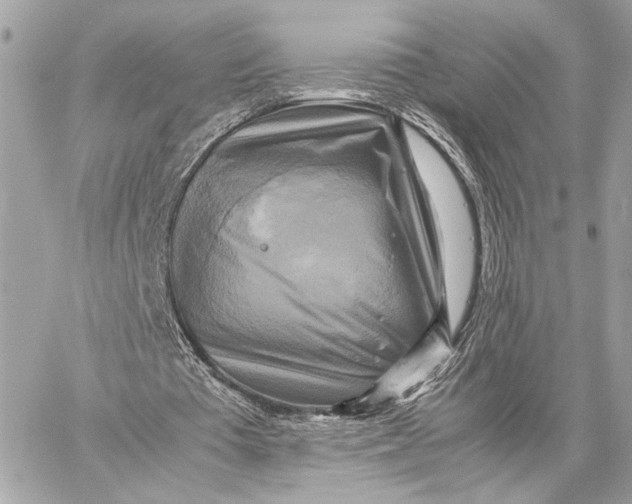 X0000059230385200511041247